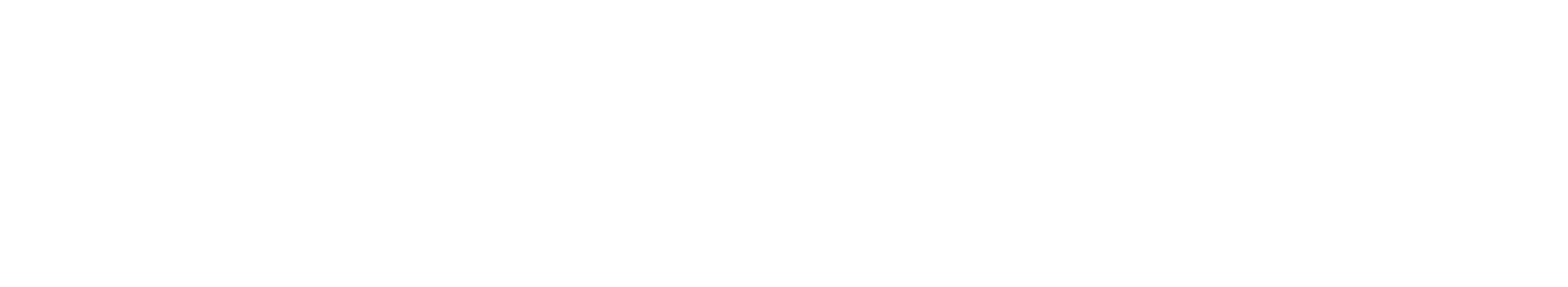 FDN