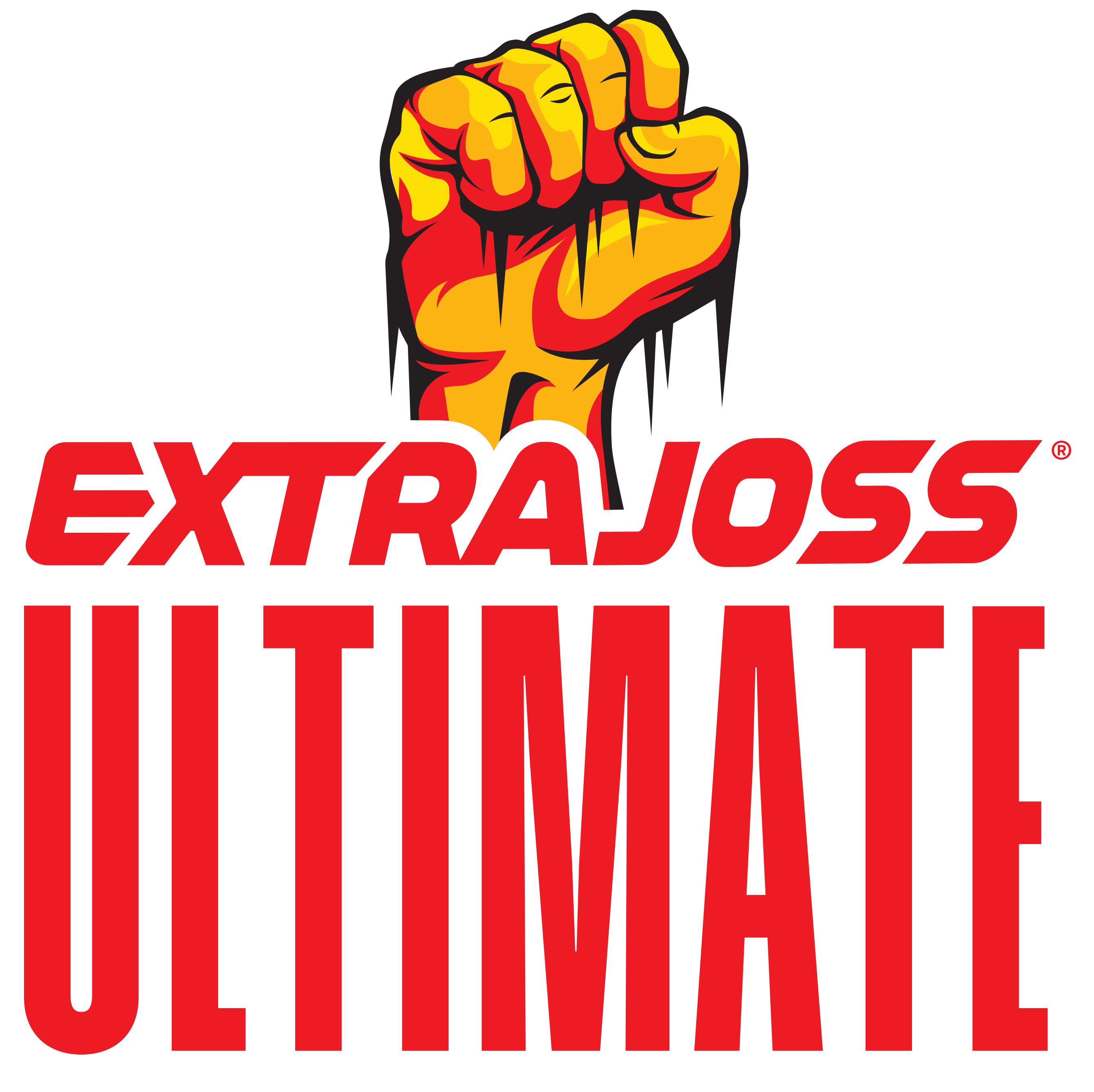 ExtraJoss